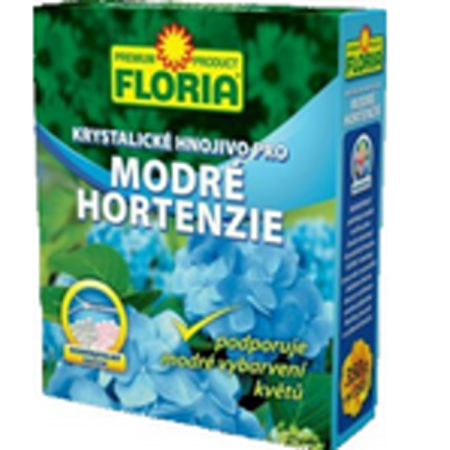 008217 Floria modré hortenzie.PNG