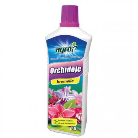 80431 orchideje.jpg