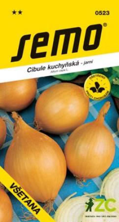 cibule Všetana.jpeg