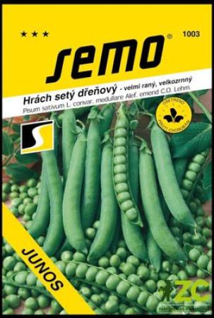 hrách Junos.jpeg