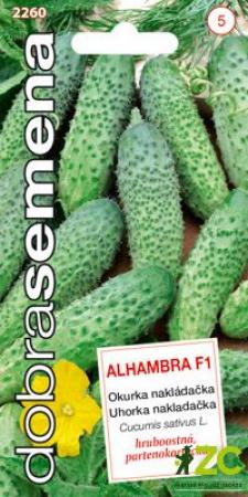 okurka Alhambra F1.jpeg