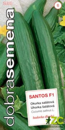 okurka Santos F1.jpeg