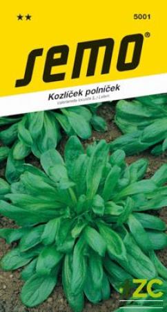 kozlíček polníček.jpeg