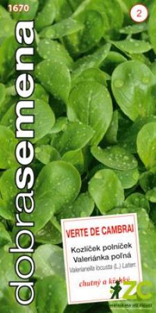 kozlíček Verte de Cambrai.jpeg