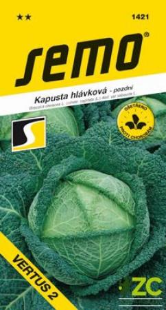 kapusta Vertus.jpeg