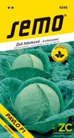 zelí Pavlo.jpeg